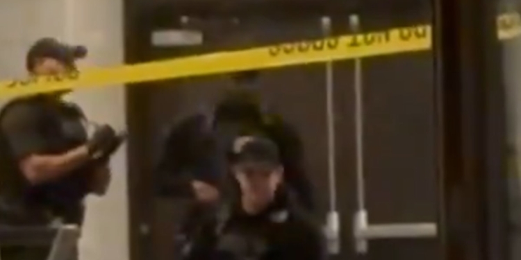 Video shows suspect from WHCD shooting detained by officials