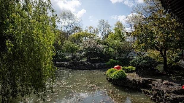 A garden filled with plants.
