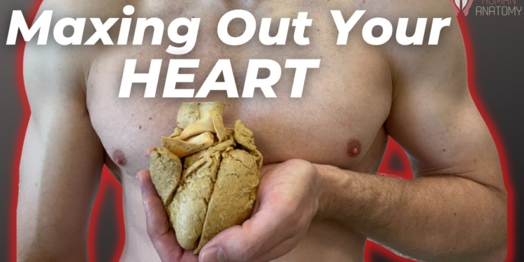 The Exercise That Prolongs Life