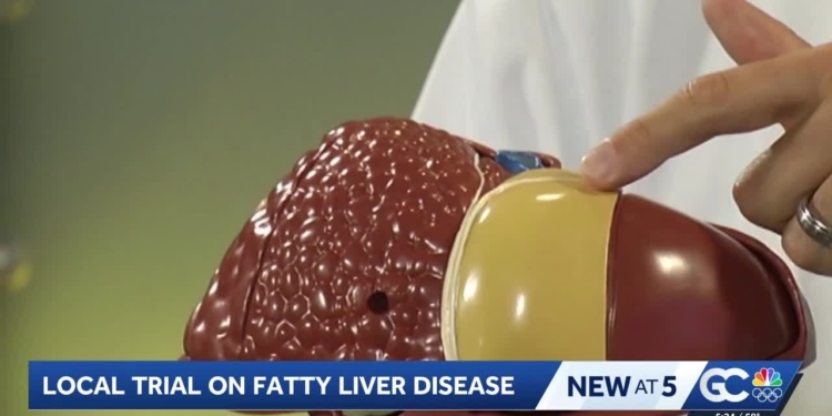 New hope for fatty liver disease patients