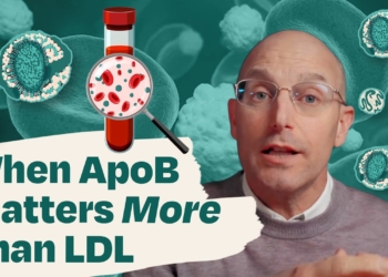 ApoB Explained: What Your LDL Test Doesn’t Tell You
