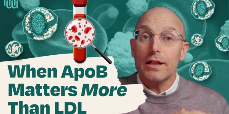 ApoB Explained: What Your LDL Test Doesn’t Tell You