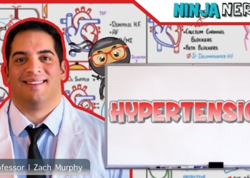 Hypertension | Clinical Medicine