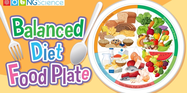 Balanced Diet Food Plate