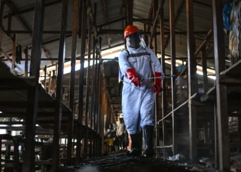 A person in a hazmat suits sprays a liquid