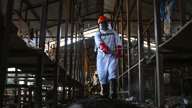 A person in a hazmat suits sprays a liquid