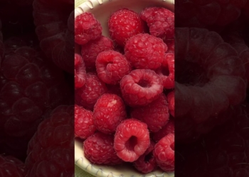 Easy No-Sugar Diabetic Meal Plan #shorts