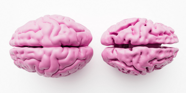 A 'Youthful' Brain May Boost Alzheimer's Resilience