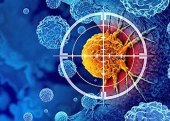 Cancer immunotherapy may reshape brain’s barrier to metastasis