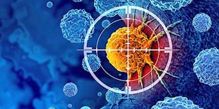 Cancer immunotherapy may reshape brain’s barrier to metastasis