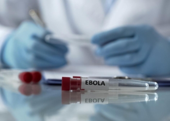 Centre closely monitoring Ebola situation in Central Africa: Health Ministry