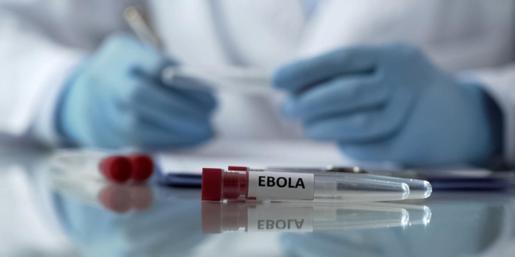 Centre closely monitoring Ebola situation in Central Africa: Health Ministry