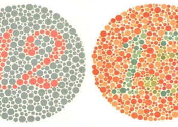 Colour blindness: a hidden vision condition many don’t realise they have