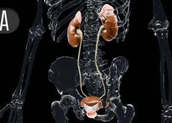 Erectile Dysfunction May Predispose Older Men to Multiple Types of Substance Abuse