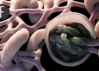 Food-as-Medicine Intervention Signals BP Benefit in High-Risk Adults