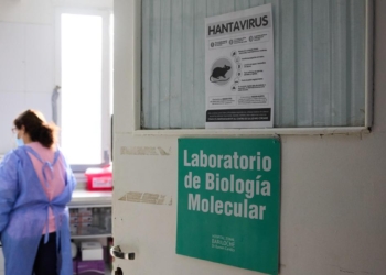 French hantavirus patient is critically ill, on artificial lung as total cases grow to 11