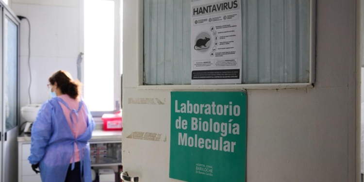French hantavirus patient is critically ill, on artificial lung as total cases grow to 11