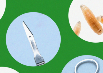 Got maggots? These doctors are bringing the bugs into their practice on purpose