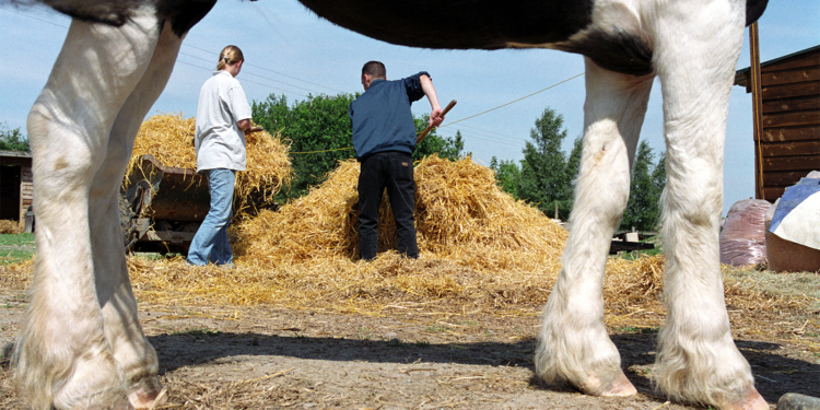 Harm Reduction Works. 'Wellness Farms' Won’t.