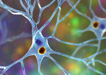 Is Pure Autonomic Failure a Warning Sign for Parkinson's? What a New Study Shows.