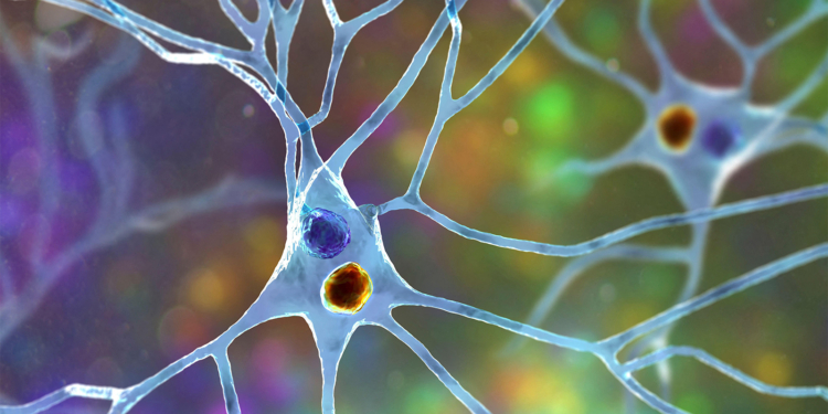 Is Pure Autonomic Failure a Warning Sign for Parkinson's? What a New Study Shows.