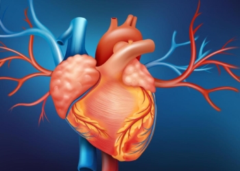 Of tension, training & team work: what it took to navigate the trickiest bend in the heart