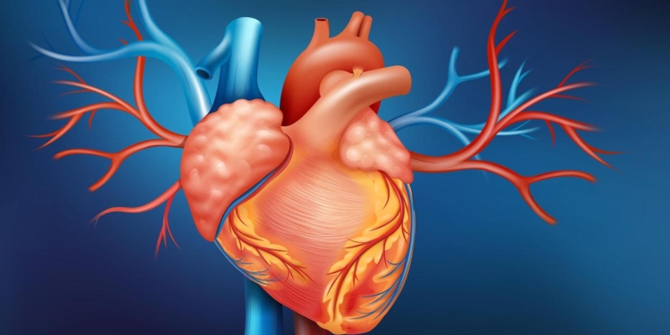 Of tension, training & team work: what it took to navigate the trickiest bend in the heart