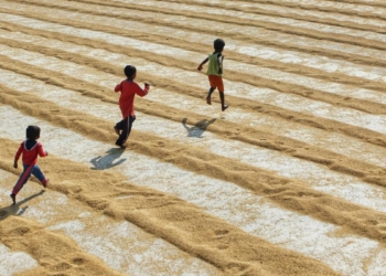 Physical activity has stalled for 20 years, hurting health and climate