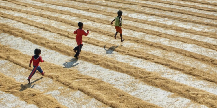 Physical activity has stalled for 20 years, hurting health and climate