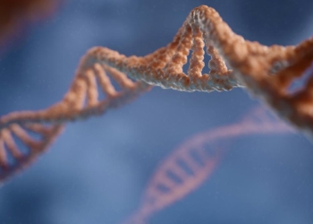 Revealed: how humans evolved in the last 10,000 years alone