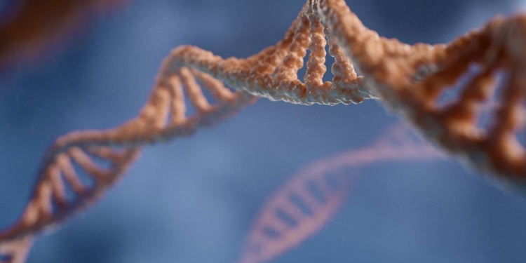 Revealed: how humans evolved in the last 10,000 years alone