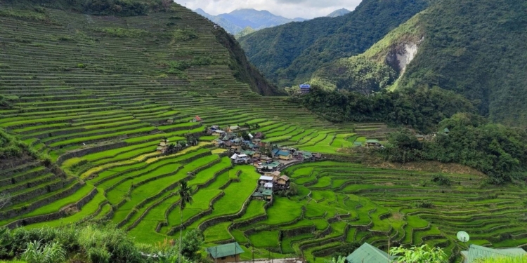 Rice terraces to host solidarity trek for West Philippine Sea