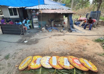 Slithering fear: snakebite incidents trigger panic in Kerala