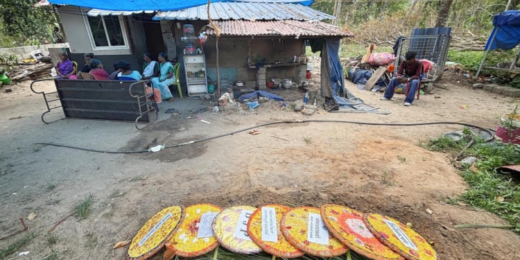 Slithering fear: snakebite incidents trigger panic in Kerala