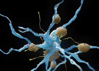 Study Questions Methods Used in Alzheimer's Drug Analysis