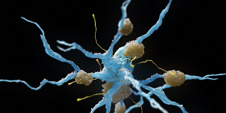 Study Questions Methods Used in Alzheimer's Drug Analysis