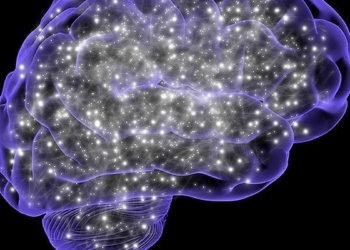 Study suggests mechanism by which physical movement could be linked with brain's cleansing process