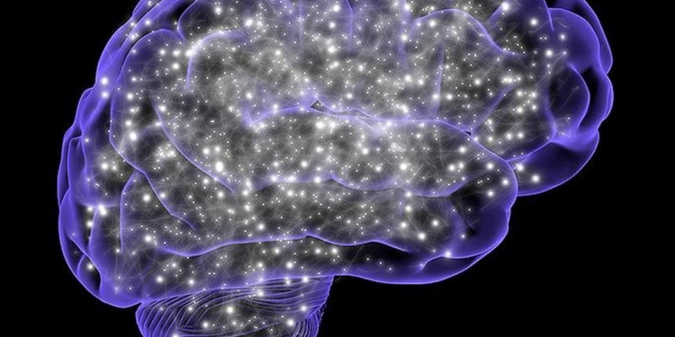 Study suggests mechanism by which physical movement could be linked with brain's cleansing process
