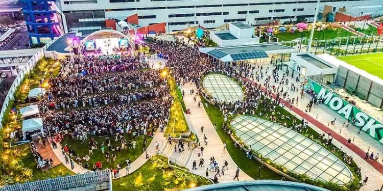 Summer in the Sky Festival launched for MOAâs 20th anniversary celebration