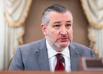 Ted Cruz says senators were ‘screaming’ at Todd Blanche during ‘anti-weaponization’ fund briefing