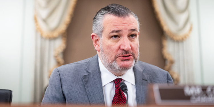 Ted Cruz says senators were ‘screaming’ at Todd Blanche during ‘anti-weaponization’ fund briefing