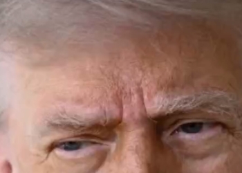 Trump administration to pull 5,000 troops from Germany