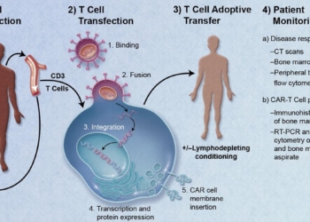 Understanding the potential of CAR-T therapy in autoimmune disease treatment