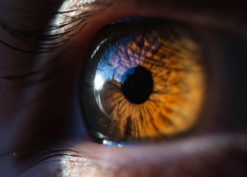 Using ultrasound to restore vision