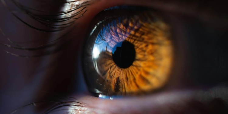 Using ultrasound to restore vision