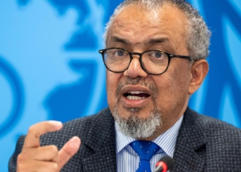 WHO chief due in Canaries to coordinate hantavirus ship evacuation
