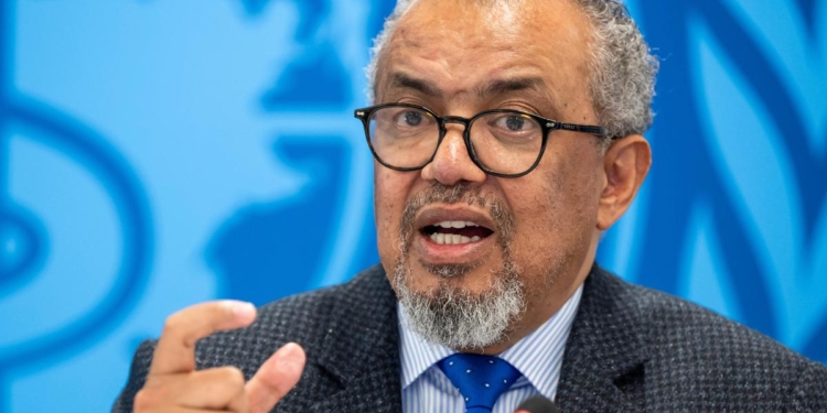 WHO chief due in Canaries to coordinate hantavirus ship evacuation