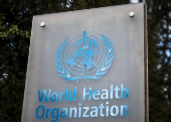 WHO warns of more hantavirus cases in 'limited' outbreak