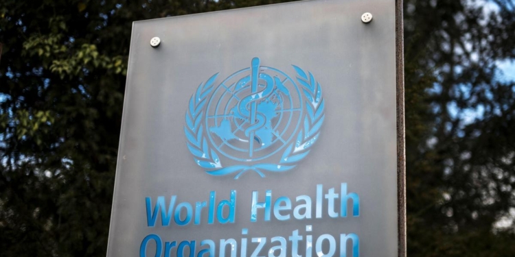 WHO warns of more hantavirus cases in 'limited' outbreak