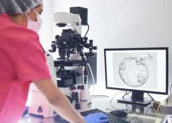 What the AMH test tells you about your fertility and what it does not